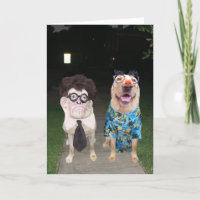 Grappige honden / Labs als mensen op Halloween