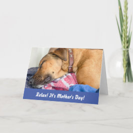 Grappige honden Moederdag kaart