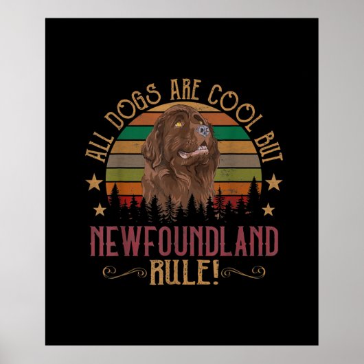 Grappige honden zijn cool, maar Newfoundland Rule Poster (Voorkant)