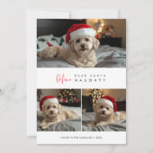 Grappige hondenfoto definieer ondeugende kerstgroe feestdagenkaart (Voorkant)