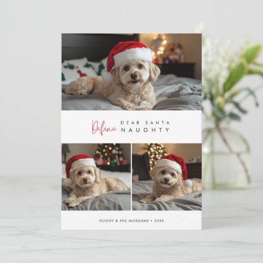 Grappige hondenfoto definieer ondeugende kerstgroe feestdagenkaart (Staand voorkant)