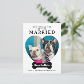 Grappige hondenfoto Onze mensen gaan trouwen Aankondigingskaart (Staand voorkant)