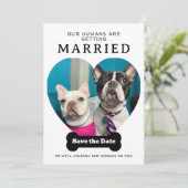 Grappige hondenfoto Onze mensen gaan trouwen Save The Date (Staand voorkant)