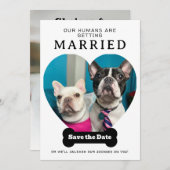 Grappige hondenfoto Onze mensen gaan trouwen Save The Date (Voorkant / Achterkant)