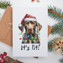 Grappige hondenkerstkaart – Zijn verlicht citaat