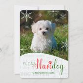 Grappige Hondenliefhebber Fleas NaviDOG Kerstfoto Feestdagenkaart (Voorkant)