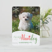 Grappige Hondenliefhebber Fleas NaviDOG Kerstfoto Feestdagenkaart (Staand voorkant)