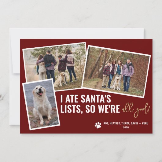 Grappige hondenplaatjes Persoonlijke kerstfoto Feestdagenkaart (Voorkant)