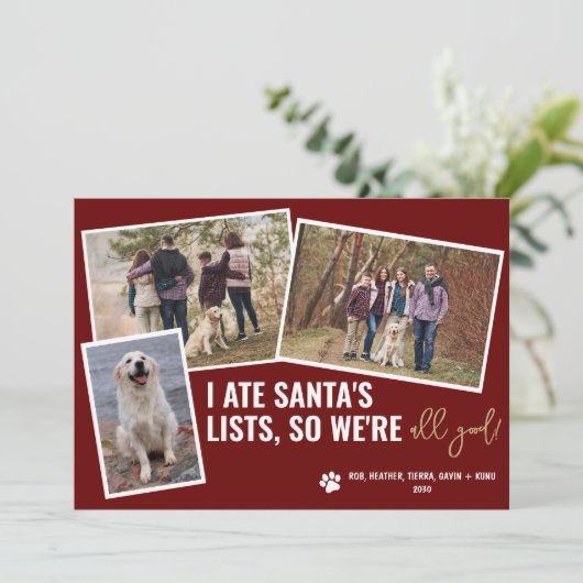 Grappige hondenplaatjes Persoonlijke kerstfoto Feestdagenkaart (Staand voorkant)