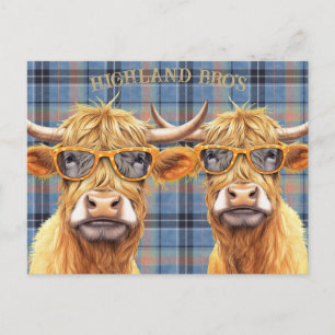 Grappige Hooglandkoe met zonnebril Briefkaart