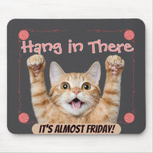 Grappige 'hou vol, het is bijna vrijdag' kat 