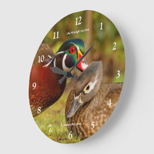 Grappige Hout Eend Fluistert Zoete Nonsens Grote Klok