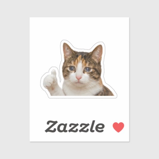 Grappige Huilende Kat Duim Omhoog Meme Grafisch Sticker (Vel)