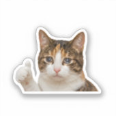 Grappige Huilende Kat Duim Omhoog Meme Grafisch Sticker (Voorkant)