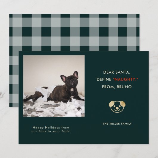 Grappige huisdier foto kerst feestdagenkaart (Voorkant / Achterkant)