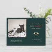 Grappige huisdier foto kerst feestdagenkaart (Staand voorkant)