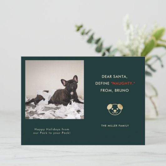Grappige huisdier foto kerst feestdagenkaart (Staand voorkant)