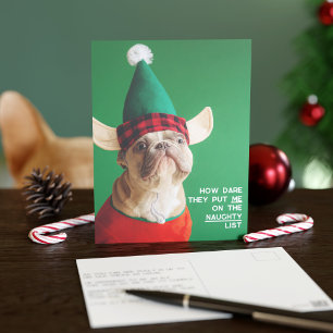 Grappige huisdier foto Kerst vakantie ansichtkaart Briefkaart