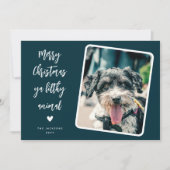 Grappige huisdier foto vrolijk kerstfeest feestdagenkaart (Voorkant)