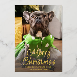 Grappige huisdier foto vrolijk kerstgezin folie feestdagenkaart