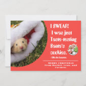 Grappige huisdierhamster foto kerstkaart (Voorkant)