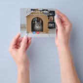 grappige huiskat in huis flyer (Hand)