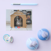 grappige huiskat in huis flyer (Enkel)