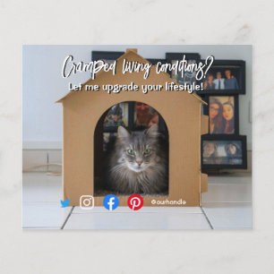 grappige huiskat in huis flyer