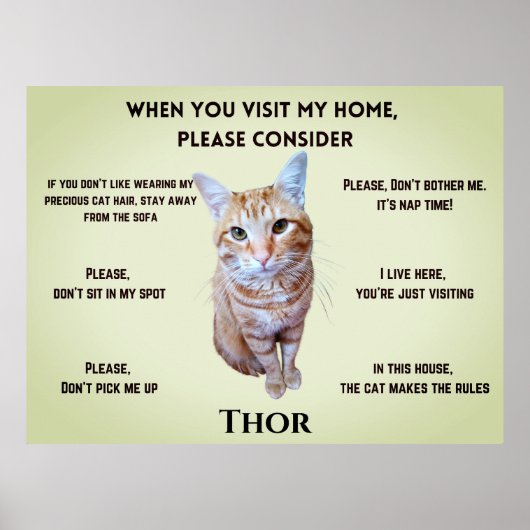 Grappige huisregels (gepersonaliseerd met kattenfo poster (Voorkant)
