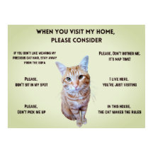 Grappige huisregels (gepersonaliseerd met kattenfo