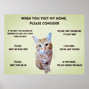 Grappige huisregels (gepersonaliseerd met kattenfo poster
