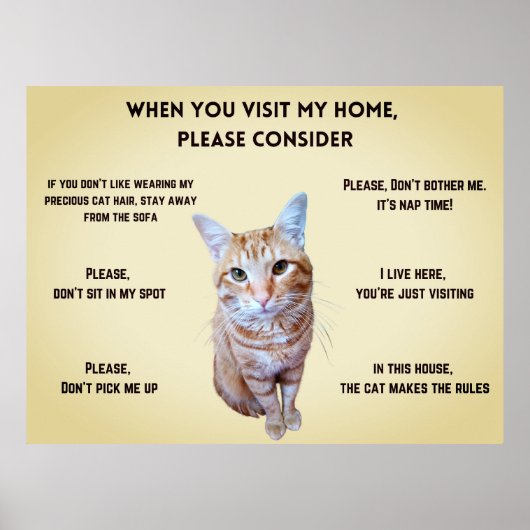 Grappige huisregels gepersonaliseerd met kattenfot poster (Voorkant)