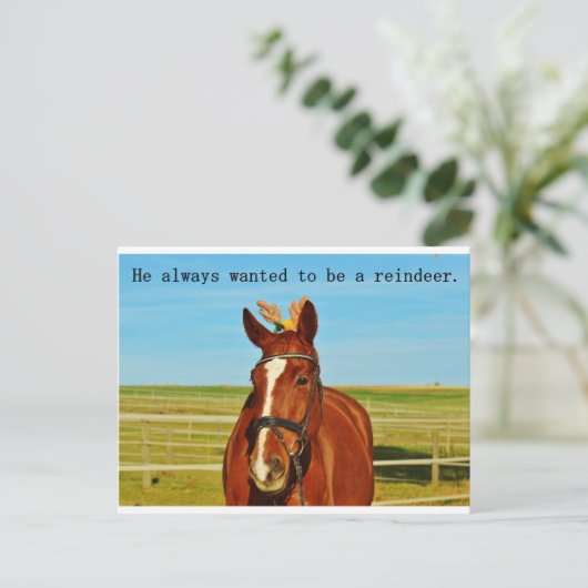 Grappige Humor Paard Rendier Kerstmis Feestdagenkaart (Staand voorkant)