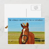 Grappige Humor Paard Rendier Kerstmis Feestdagenkaart (Voorkant / Achterkant)