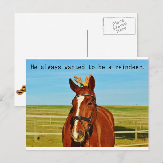 Grappige Humor Paard Rendier Kerstmis Feestdagenkaart (Voorkant / Achterkant)