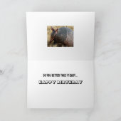 grappige humor voor armadillo - verjaardagskaart kaart (Binnen)