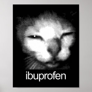 Grappige Ibuprofen Kat Meme Retro Lelijke Kattenge Poster