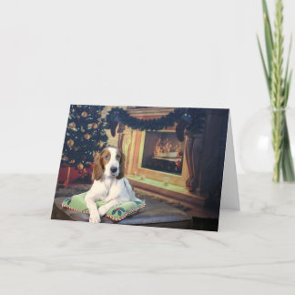 Grappige Ierse Rood en Wit Setter Vakantie Kaart