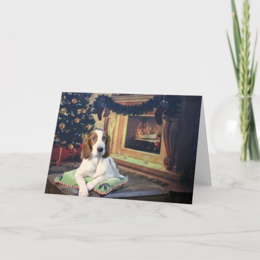 Grappige Ierse Rood en Wit Setter Vakantie Kaart (Voorkant)