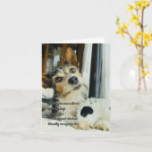 Grappige 'Ik hou van jou' van de hond kaart (Gele Bloem)