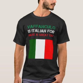 Grappige Italiaanse hoodies Vaffanculo hebben een