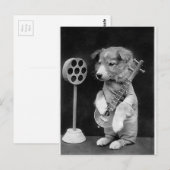 Grappige JACK RUSSELL Terrier hond speelt banjo Briefkaart (Voorkant / Achterkant)