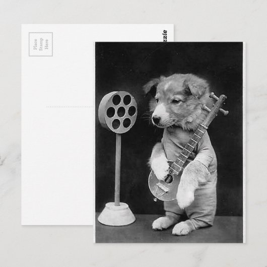 Grappige JACK RUSSELL Terrier hond speelt banjo Briefkaart (Voorkant / Achterkant)