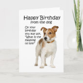 Grappige Jack Russell Terrier Verjaardag Kaart (Voorkant)