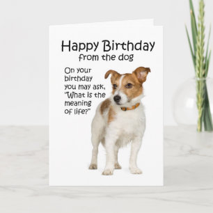 Grappige Jack Russell Terrier Verjaardagskaart Kaart