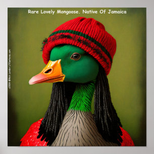 Grappige Jamaicaanse Mangoest Reggae Gans Poster