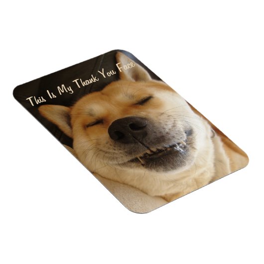 grappige Japanse akita hond met een leuke glimlach Magneet (Rechterzijde)