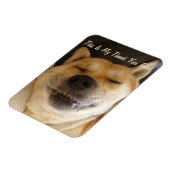 grappige Japanse akita hond met een leuke glimlach Magneet (Linkerzijde)
