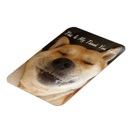 grappige Japanse akita hond met een leuke glimlach Magneet (Linkerzijde)