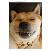 grappige japanse akita leuke glimlachende hondenli (Voorkant)